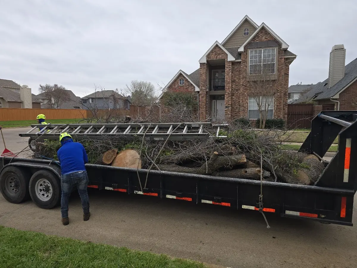 Expert Tree Removal with proper safety equipment in Allentown